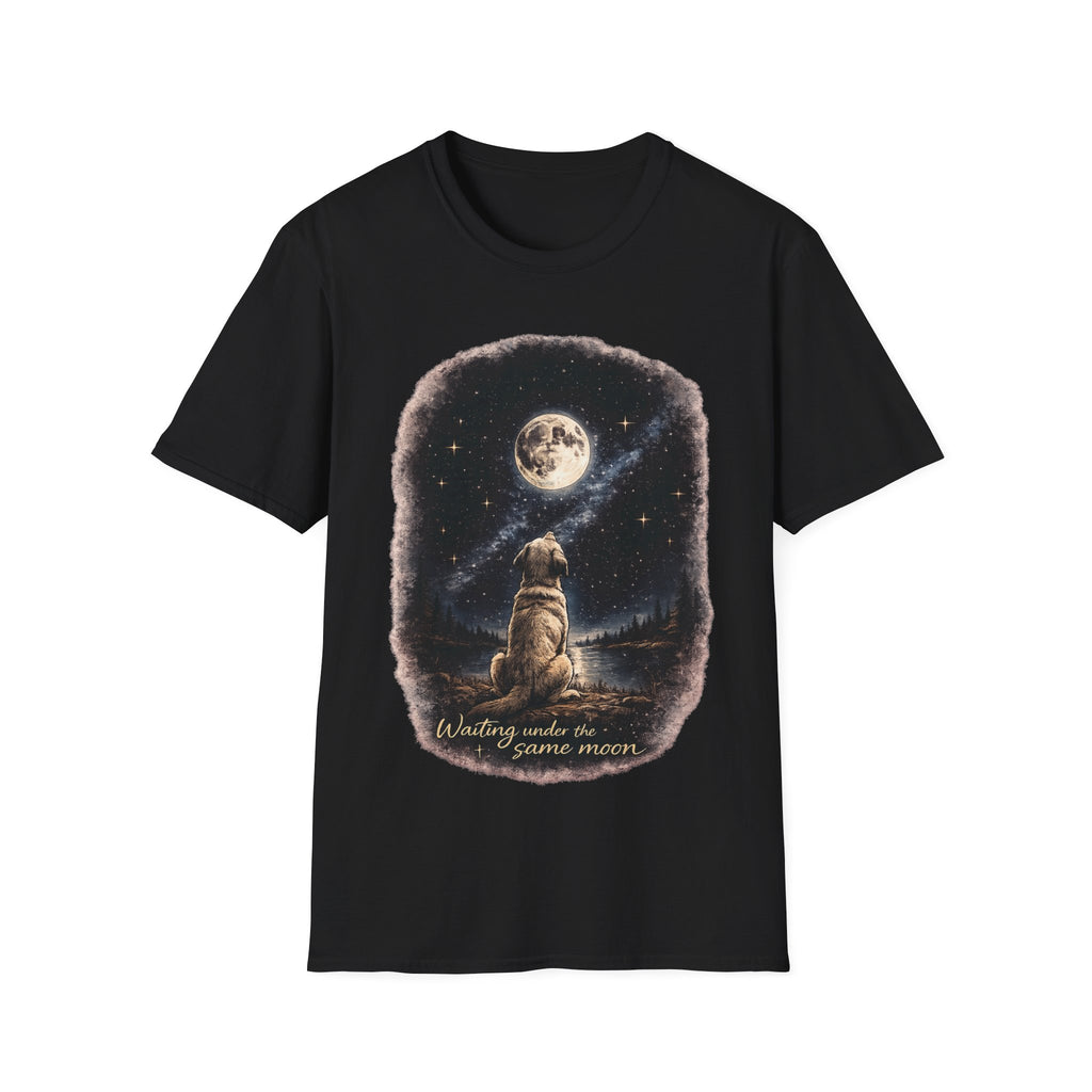 Labrador Moon